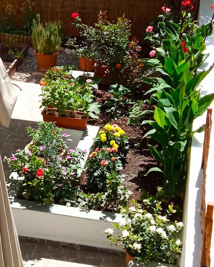 Charming Garden Apartment Rhodes City Rom bilde